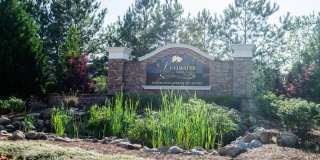 Lullwater at Saluda Pointe Gallery 12