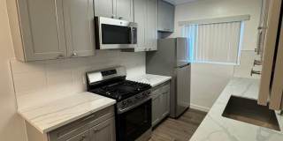 6536LAM Gallery 1