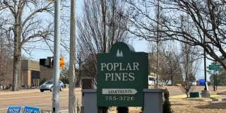 Poplar Pines Gallery 1