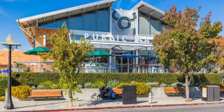 The Braydon Gallery 70