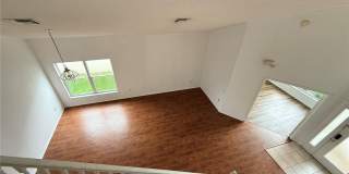 2918 BLOOMING ALAMANDA Loop Gallery 11