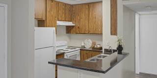 4200 Paradise Gallery 2