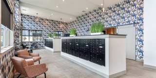 Virginia I Gallery 6