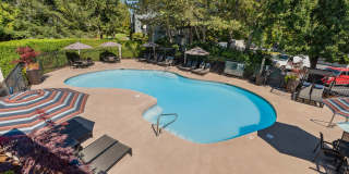 Madison Sammamish Gallery 11