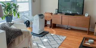 1916-34 W Winona / 5103-15 N Winchester Gallery 21