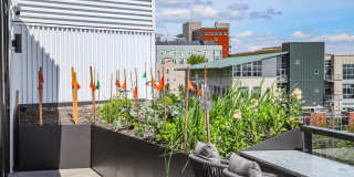 Cascara Apartments Gallery 70