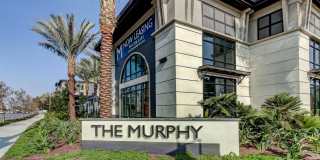 THE MURPHY | IRVINE Gallery 1