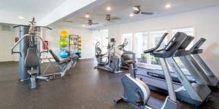 Canter Chase Gallery 15