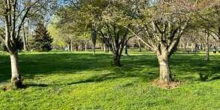 172 Reinhard Avenue unit: 172 Gallery 18