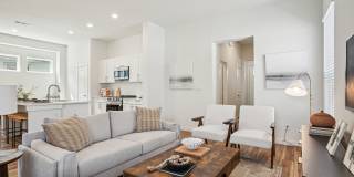 Canvas at Anna Gallery 37