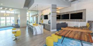 Ravella at Sienna Gallery 10