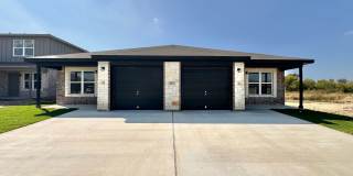 218 B Dolphin Gallery 1