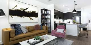 36 Comal Street Gallery 17