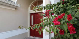 3284 Falcon Point Drive Gallery 5