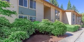 Carrington Gallery 36