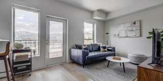 The DeWitt Gallery 7