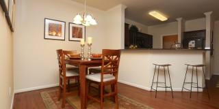 Summer Lake Gallery 47