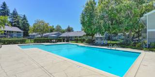 Pinecrest Apartments Gallery 16