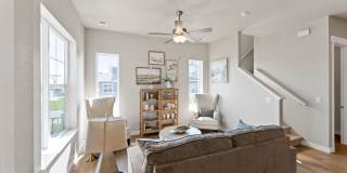 Mangold831 (KC-LN) Gallery 13