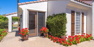 79365 Mandarina Gallery 53