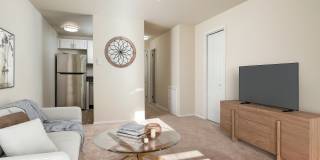 Aston Glen Aston Glen Gallery 3