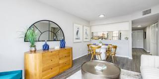 Solana Vista Gallery 31