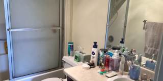 Stenner, 176 Gallery 4