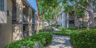 Oak Tree Court Gallery 6