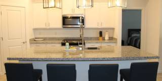 Military Jets Fly Over this 4BR House in Litchfield Park Gallery 5