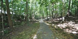 240 Beechtree Drive Gallery 28