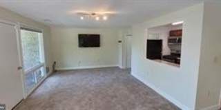 541 WILSON BRIDGE Drive Gallery 1