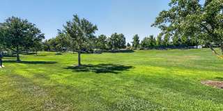 Spectacular 3 Bedroom PLUS Office Located in the Desired Rancho Paraiso Walnut Creek Neighborhood! Gallery 52