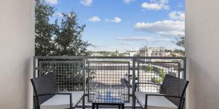 Juno Winter Park Gallery 12