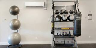 Renaissance Bay Gallery 41