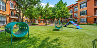 Allura Las Colinas Gallery 6