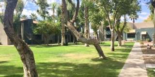 Paradise Greens Gallery 6