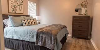 172 Chimney Stone Way Gallery 8