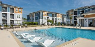 Hawthorne at Pine Forest Gallery 1