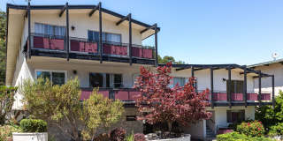 San Carlos: Updated 1 Bed 1 Bath Apartment in San Carlos Hills w/ Private Balcony, Parking, Storage,  Laundry Onsite Gallery 1