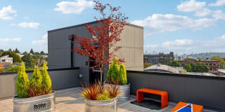 The Rocket - Student Housing Gallery 35