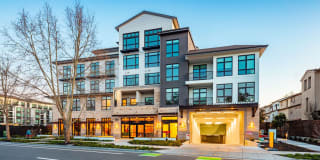 The Hadley Apartments Gallery 22