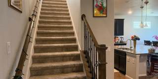 Spacious 4BR House in Parker Gallery 15
