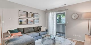 TGM Park Meadows Gallery 13