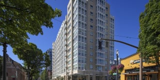 The Gossamer Gallery 24