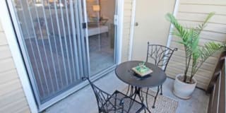 The Palms The Palms Gallery 18