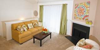 Royal Pointe Gallery 29