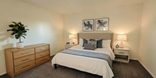 Azara Tempe Gallery 30