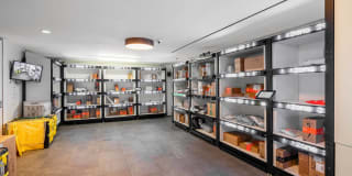 The Wren D.C. Gallery 27
