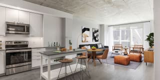 The Chestnut Gallery 8