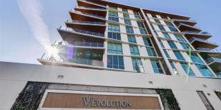 Evolution Gallery 60